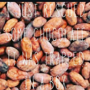I just rescued some chocolate. . .