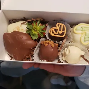 Variety of gourmet chocolates