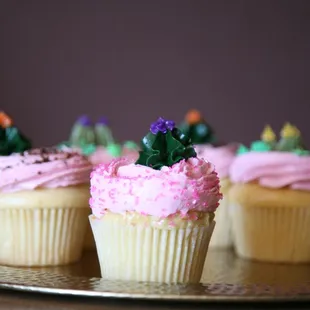 Special Edition Prickly Pear Cupcakes
