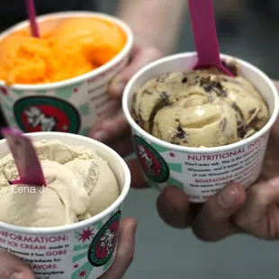 London Fog Ice Cream ($4 for junior scoop), Iced Latte-Da Ice Cream, and Orange Sherbet