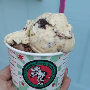 a hand holding a cup of ice cream