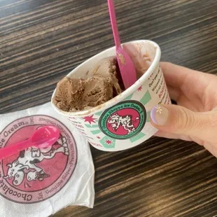 a hand holding a cup of ice cream