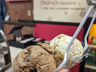 Flapdoodles Homemade Ice Cream