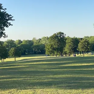 Beautiful little layout.