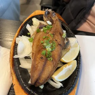 Mackerel
