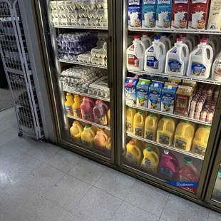 They have lots of eggs!