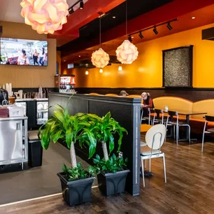 sushi and sashimi, interior