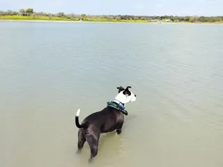 Lake Corpus Christi State Park