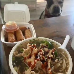 Pho Ga (Chicken) and Spring Rolls after the soup is poured into the bowl. Perfect fit.