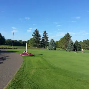 Practice green