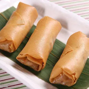 Crispy chicken spring rolls
