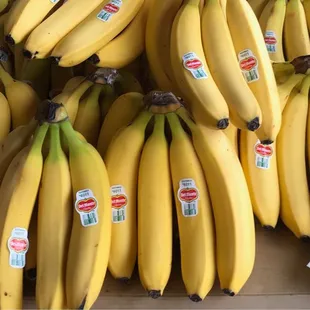 bunches of bananas on display