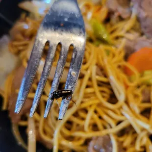 Bug in yakisoba