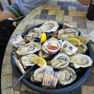 GIANT OYSTERS!