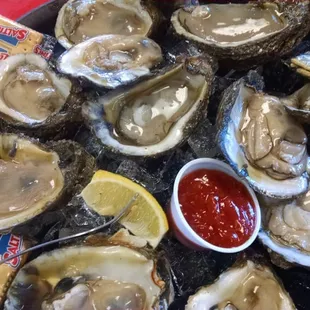 dozen oysters....amazing, perfect for the guy missing them for 4-years.