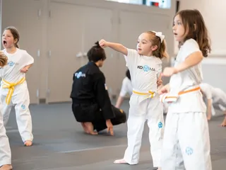 KOMA Taekwondo+