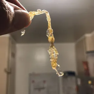 The piece of plastic I bit from my chicken bowl