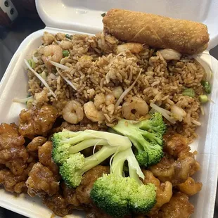 SP19. Orange Chicken Combo Plate Lunch Special $8.99