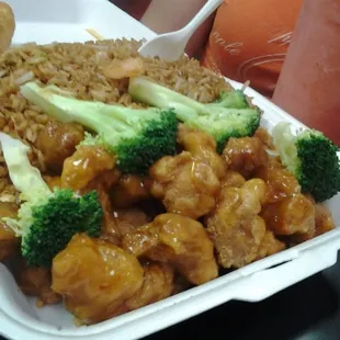 The Orange chicken is very delicious!