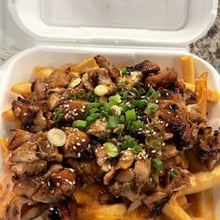 Teriyaki Fries with chicken