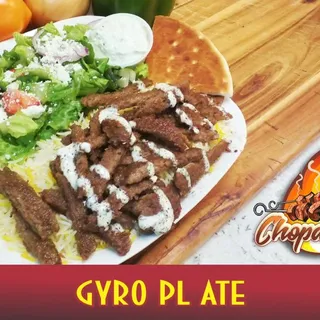 Gyro Plate