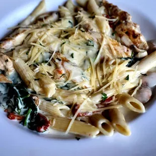Creamy Penne pasta with chicken, lunch $12