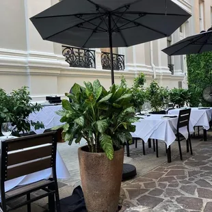 Patio dining was so beautiful