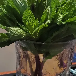 That's pretty minty fresh...