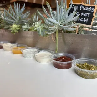 Different type of sauces