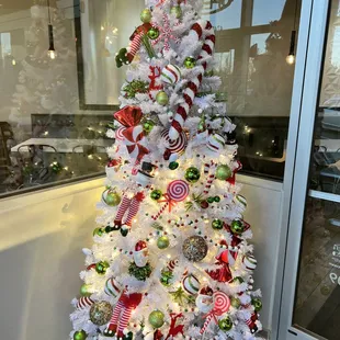 Merry Christmas and happy holidays to all and peace on Earth.