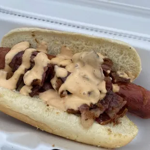 Brisket hotdog