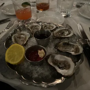 Daily Oysters