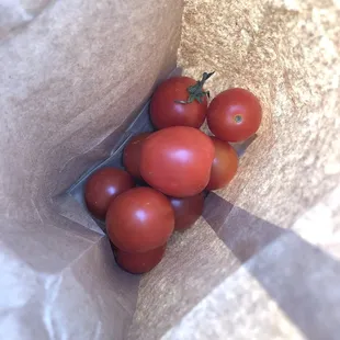purchased some fresh cherry tomatoes to snack on!