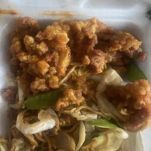 General Tso&apos;s and Plain Lo Mein