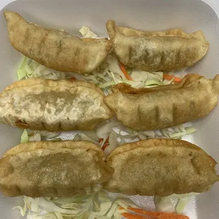 6 Piece Potstickers