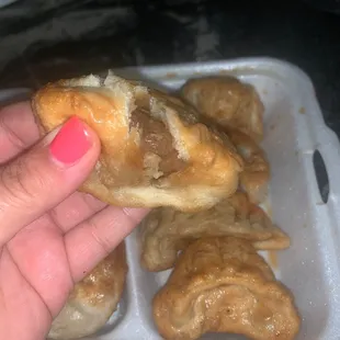 Steamed Dumplings that I wound up frying to make edible.