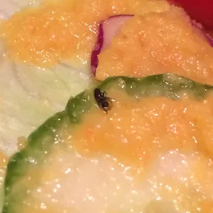This is what I found after my fourth or fifth bite. A  gnat in my salad!