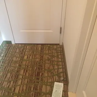 a picture of a door and carpet