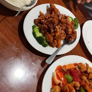 Hot &amp; sour chicken, 606. Sesame Chicken with steamed rice