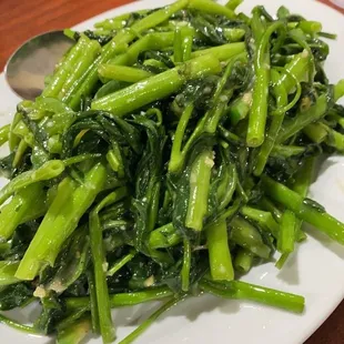 705. House Green Bean