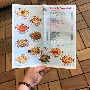 a hand holding a menu
