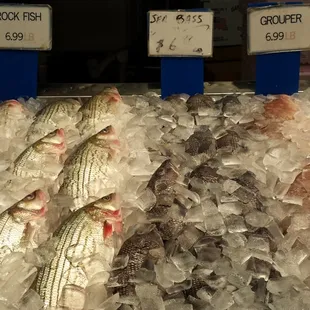 a variety of fish on ice