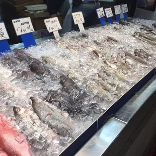 a variety of fish for sale