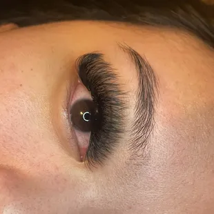 Lash extensions