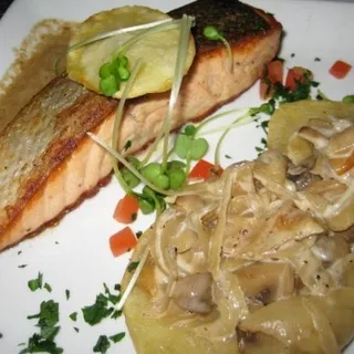 Salmon