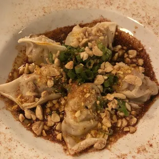 Dan Dan Dumplings