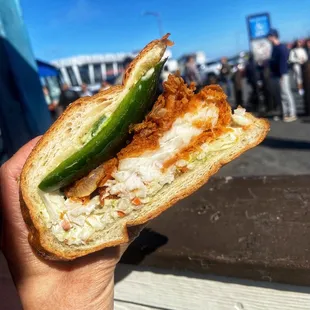 Spicy Fried Fish Sandwich