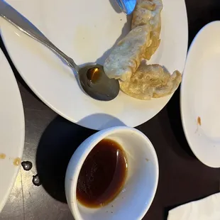 Fried dumplings. Sorry we were really hungry.