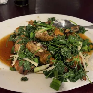 Chicken w scallion and ginger