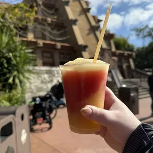 Fiesta Margarita ($15)